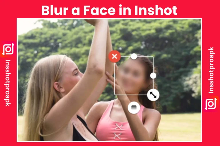 Blur a Face in Inshot