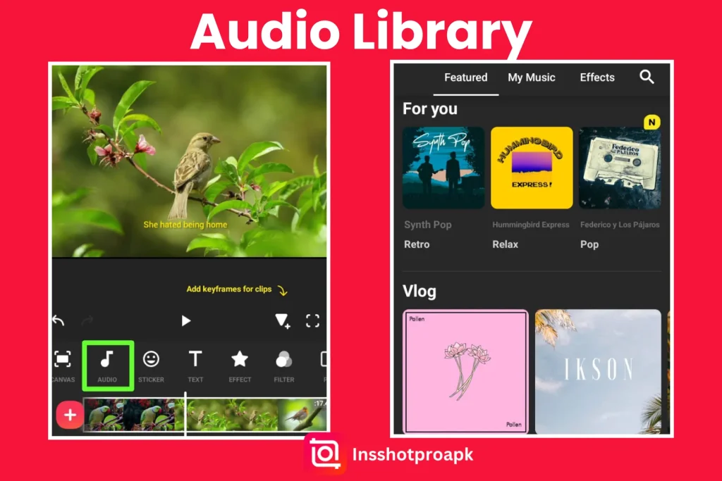 Audio library
