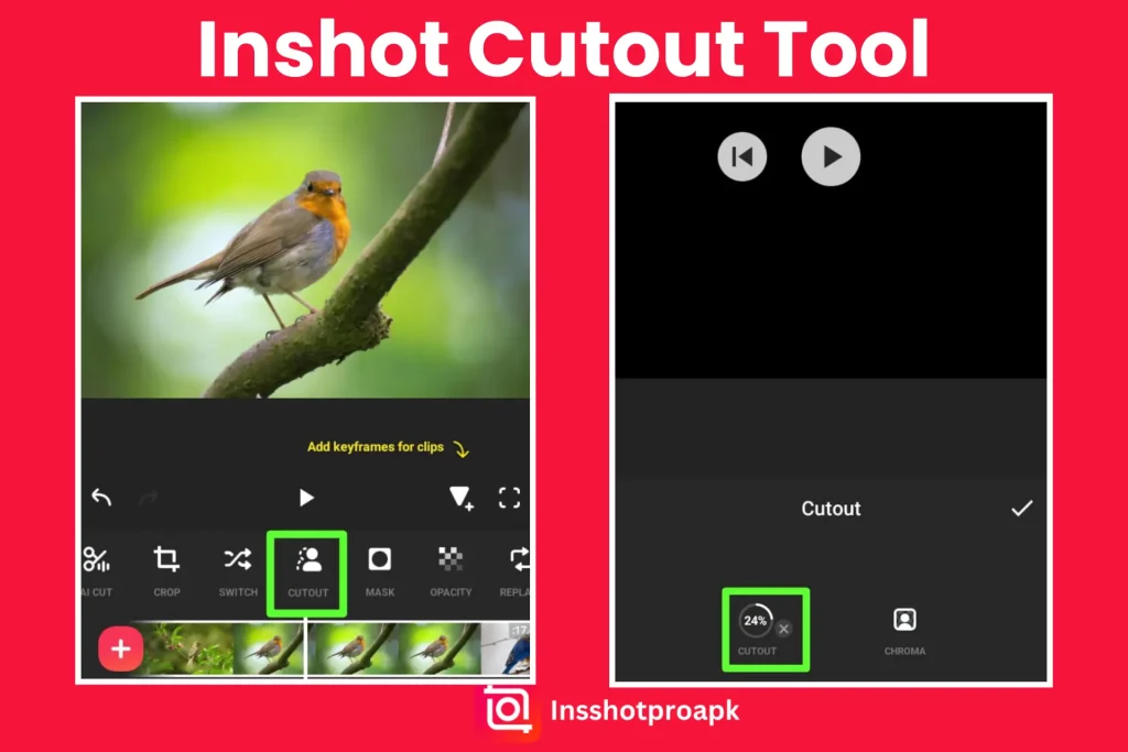 Inshot Cutout tool
