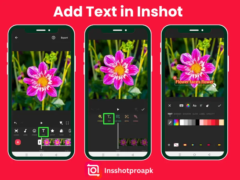 How to add text in inshot pro apk?