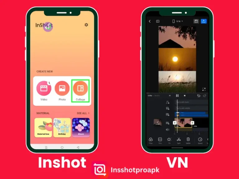 Inshot vs VN interface