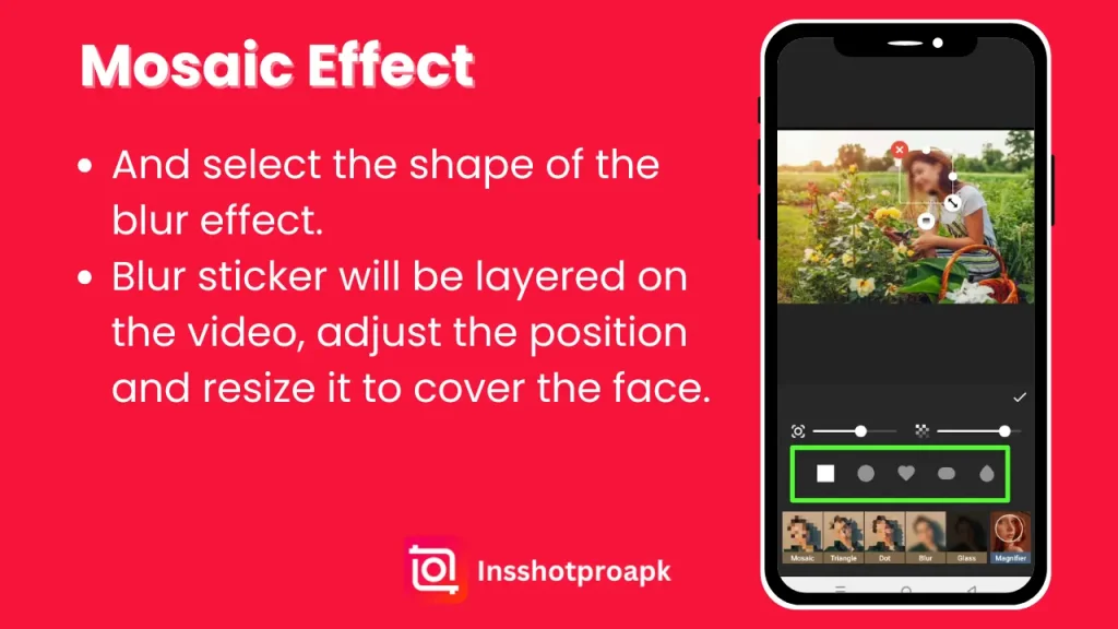 blur face in inshot