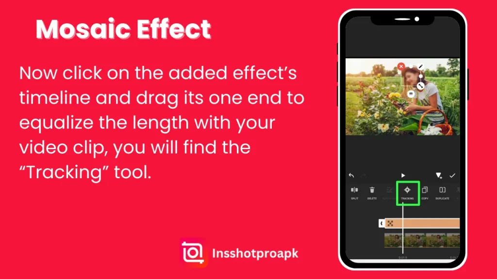how to blur face in inshot?