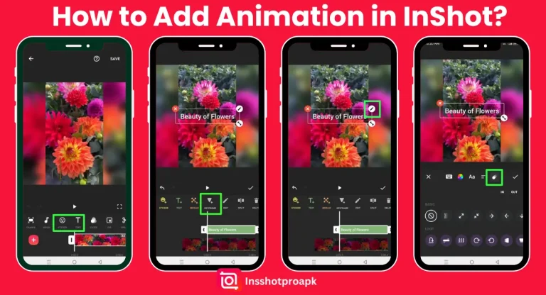 How to Add Animation in InShot?