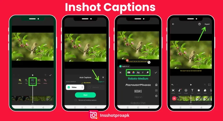 How to Add Captions in Inshot?