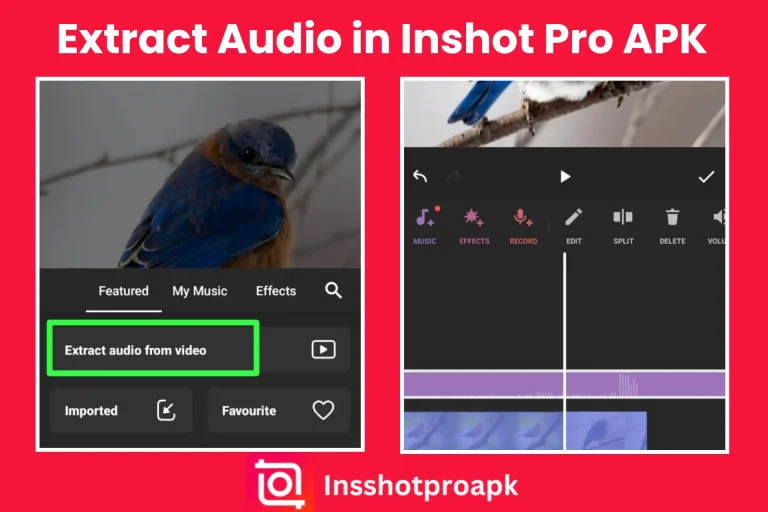 extract audio feature in inshot mod apk